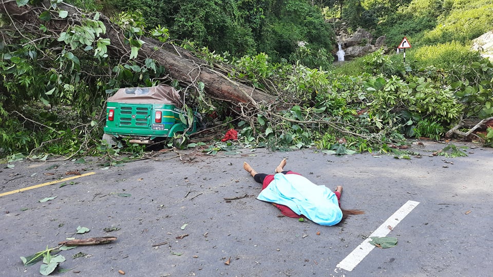 मदन भण्डारी लोकमार्गमा रुखले अटो किच्दा एकको मृत्यु