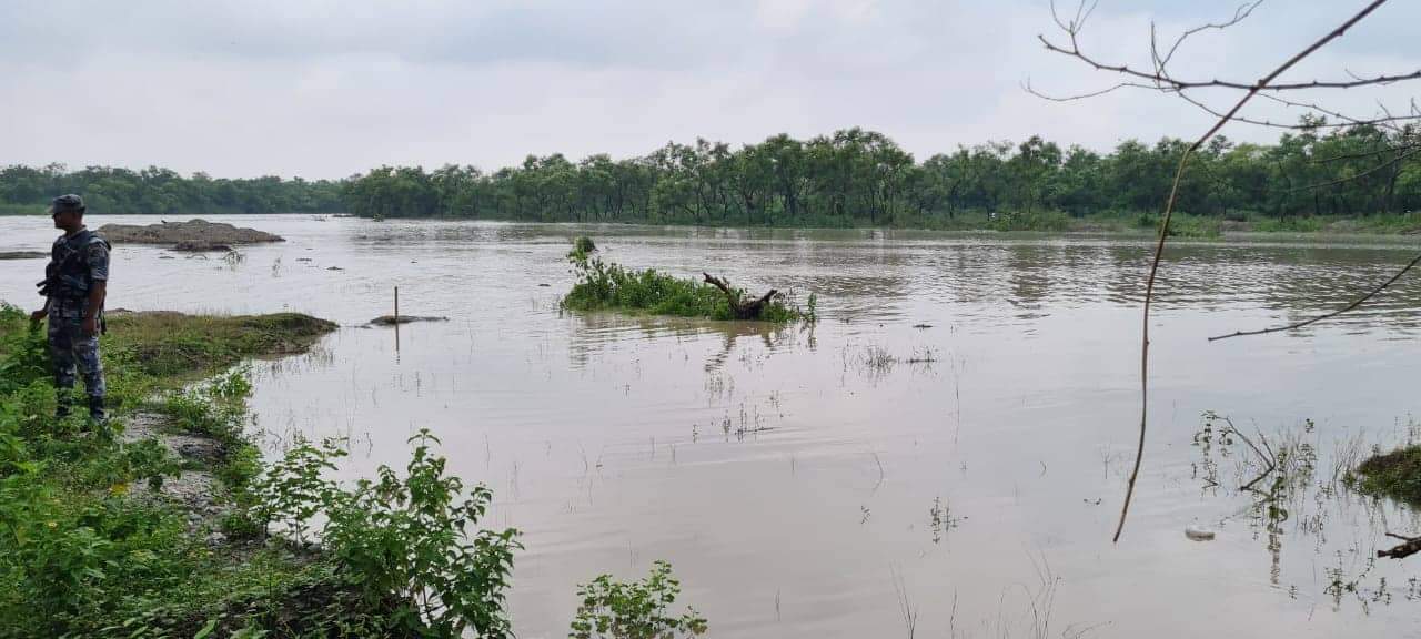 सप्तकोसी बाँध फुटेर बेलकामा बेहाल