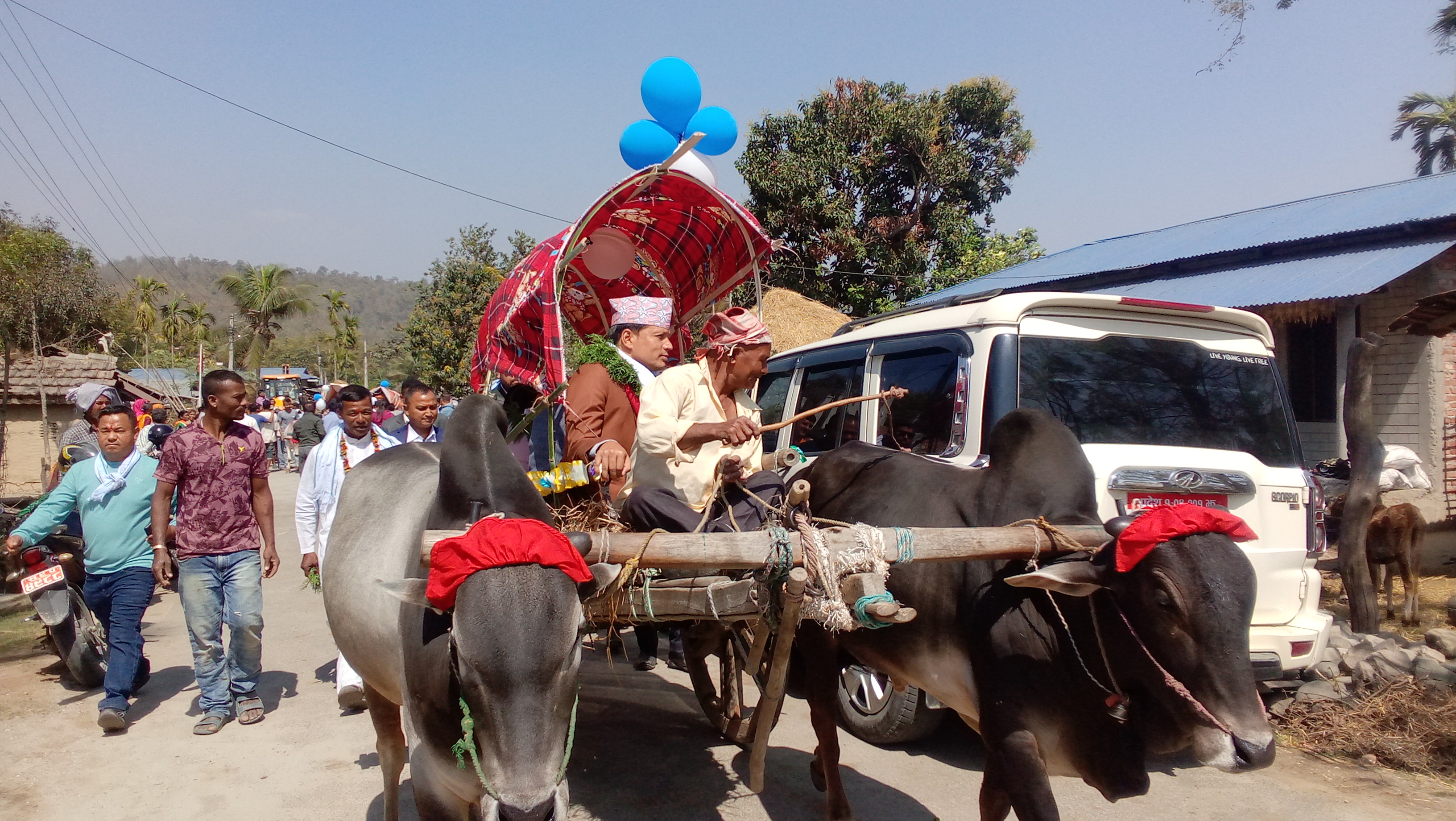 थारु सामुदायिक होमस्टेमा बयलगाडाको मज्जा